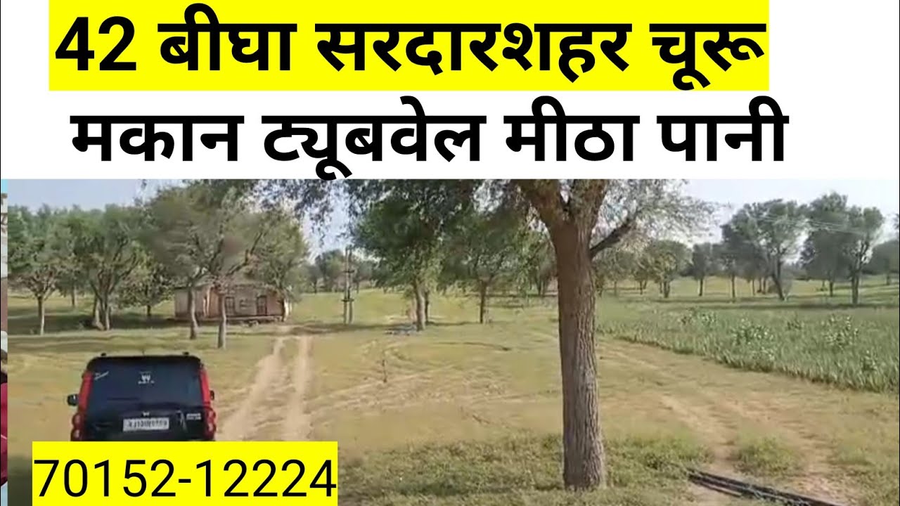 सरदारशहर चूरू की 42 बीघा जमीन बिकाऊ। sardarshahr ki bikau jameen| land for sale in rajsthan| #land