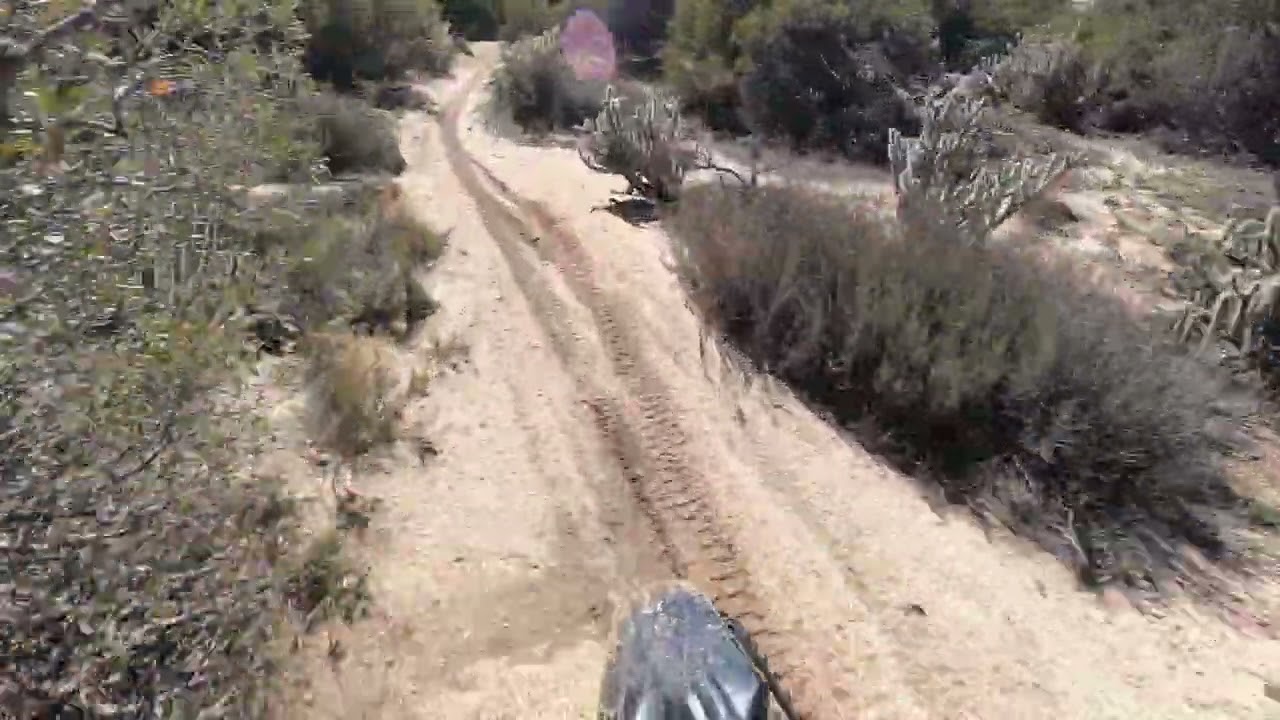 Desert Single Track 