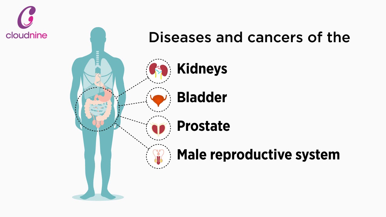 Urology Awareness | Cloudnine Hospitals