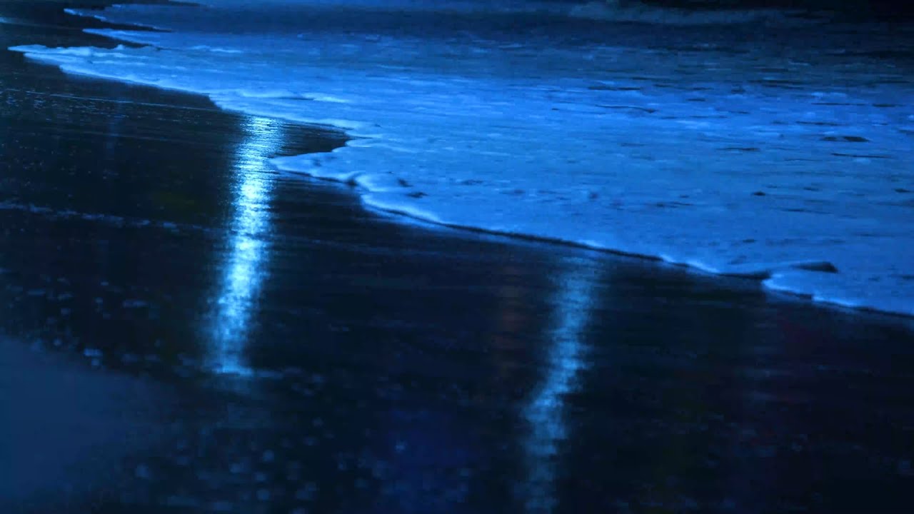 The Most Relaxing Waves Ever | [3 Hours] Ocean Sounds to Sleep, Study and Chill