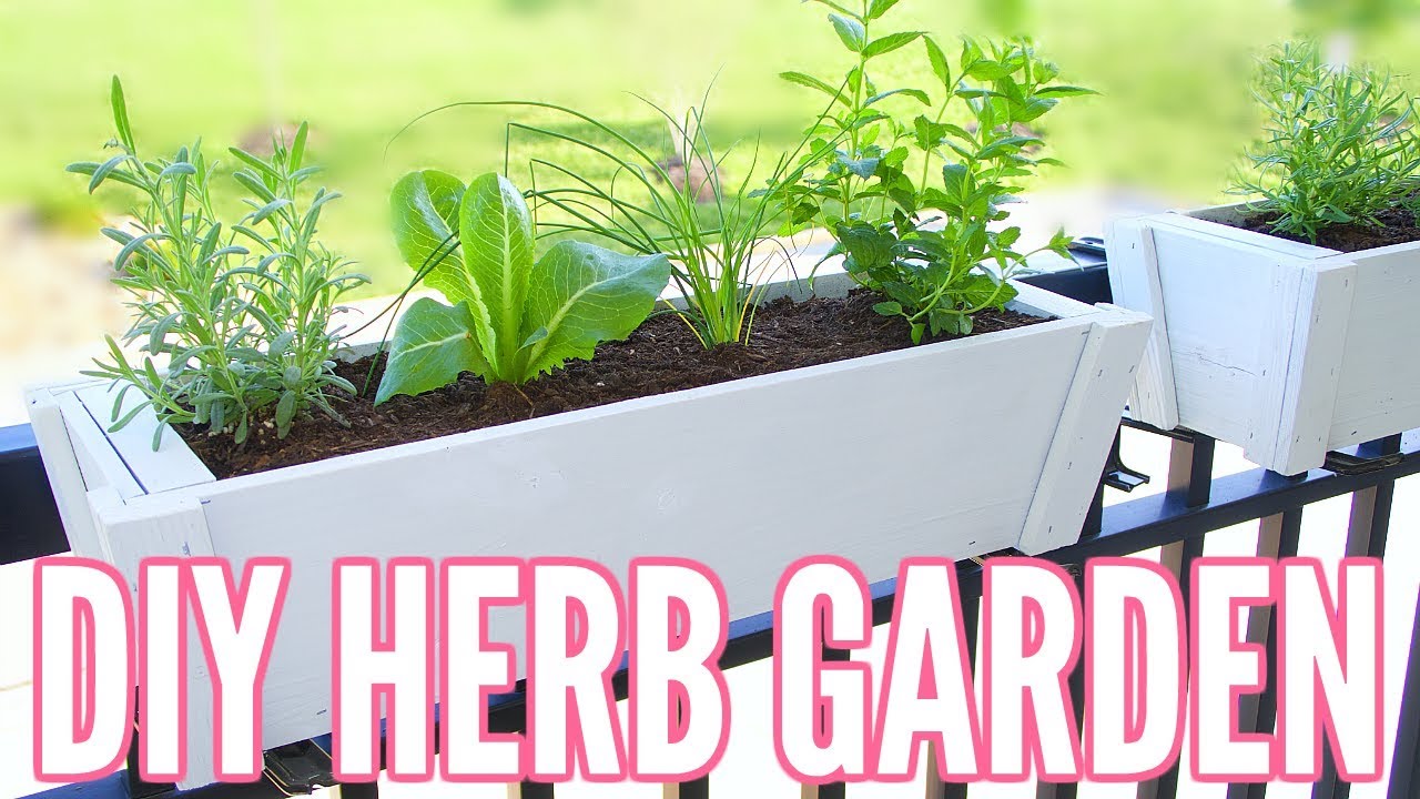 DIY HERB GARDEN | How To Plant an Herb Garden - Great for Apartments!! Easy Beginner Gardening!!