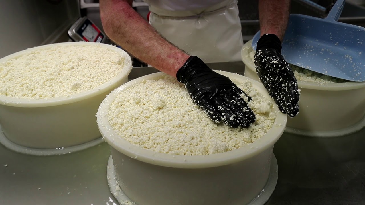Charente-Maritime : La Vache Charentaise fabrique ses fromages &agrave; Breuil-La-R&eacute;orte