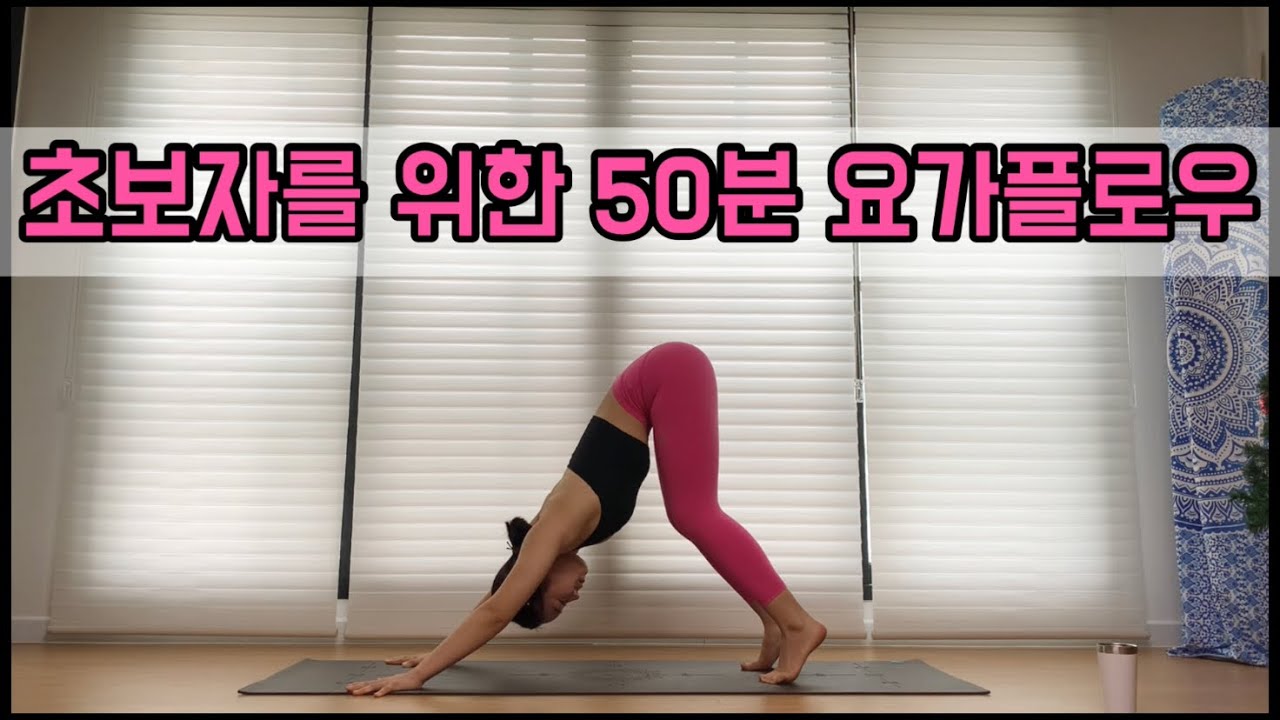 [서리요가#167] 역자세 없이 초보자를 위한 50분 요가플로우 / 기초요가