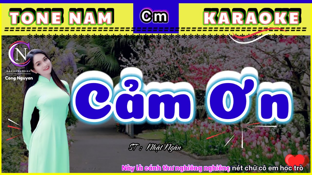 Cảm Ơn | Karaoke | Tone Nam ( cong nguyen )