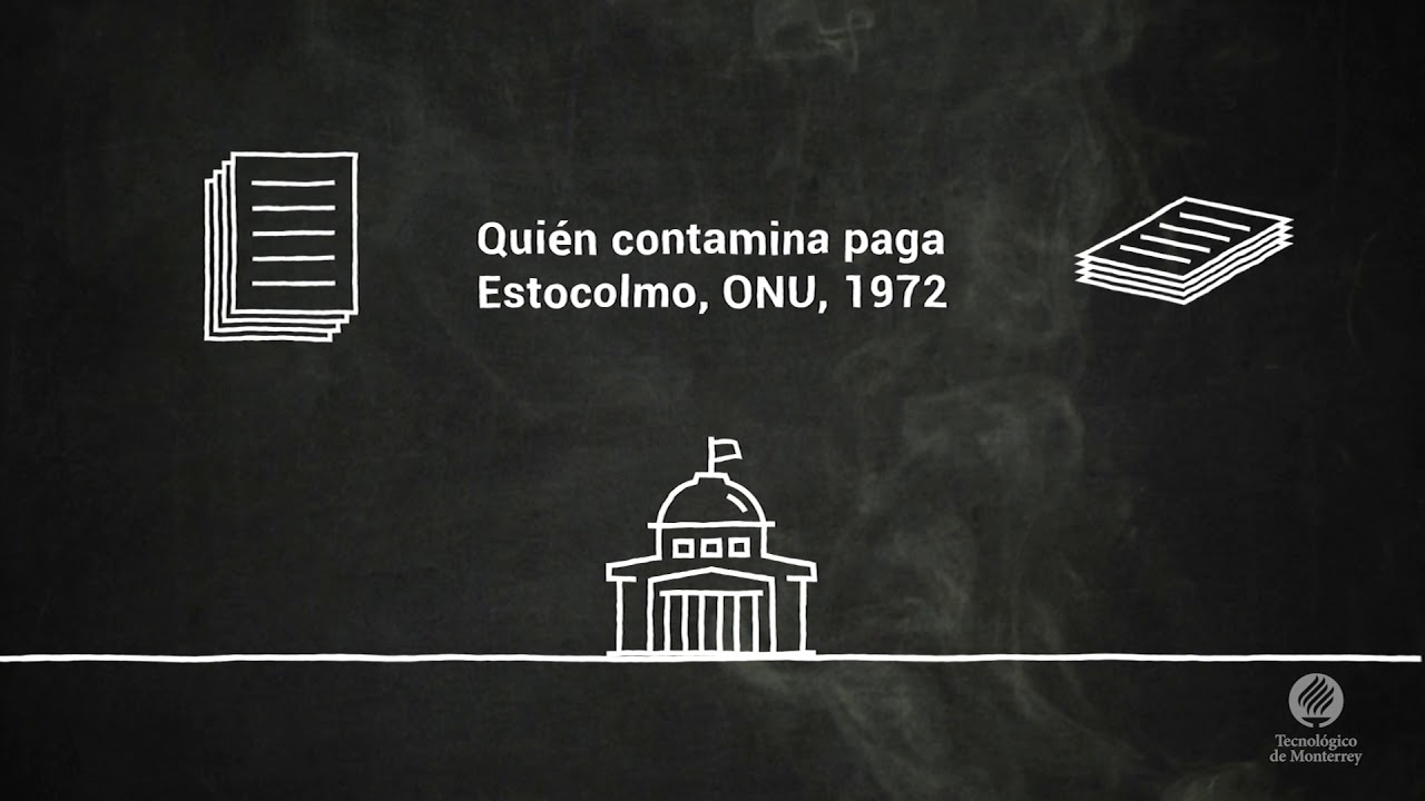 &iquest;C&oacute;mo surgen los mercados ambientales?