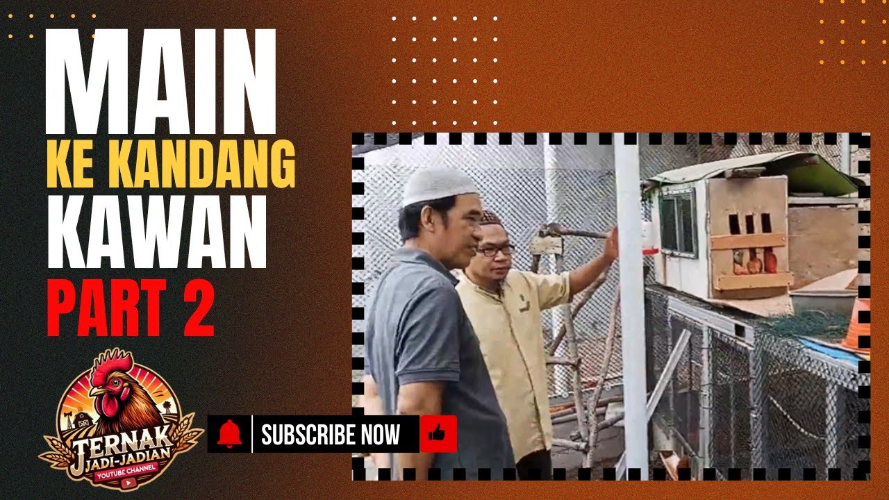 #47 MAIN KE KANDANG KAWAN PART 2