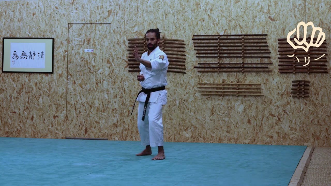 Combinaisons [Karaté Shito-Ryu Shukokai] - Hary Randrianarisoa