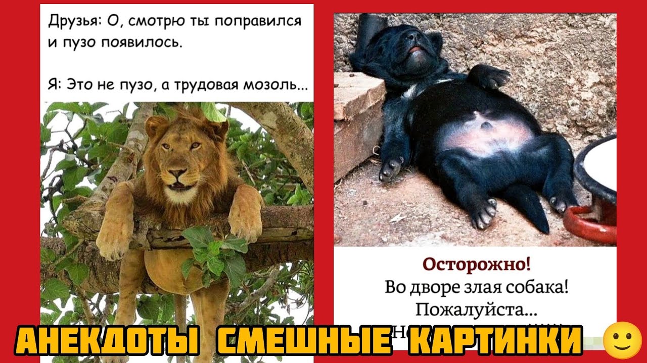 Друзья😆: О, смотрю ты поправился и пузо появилось🥞😏.Я: Это не пузо, а трудовая мозоль...🤣