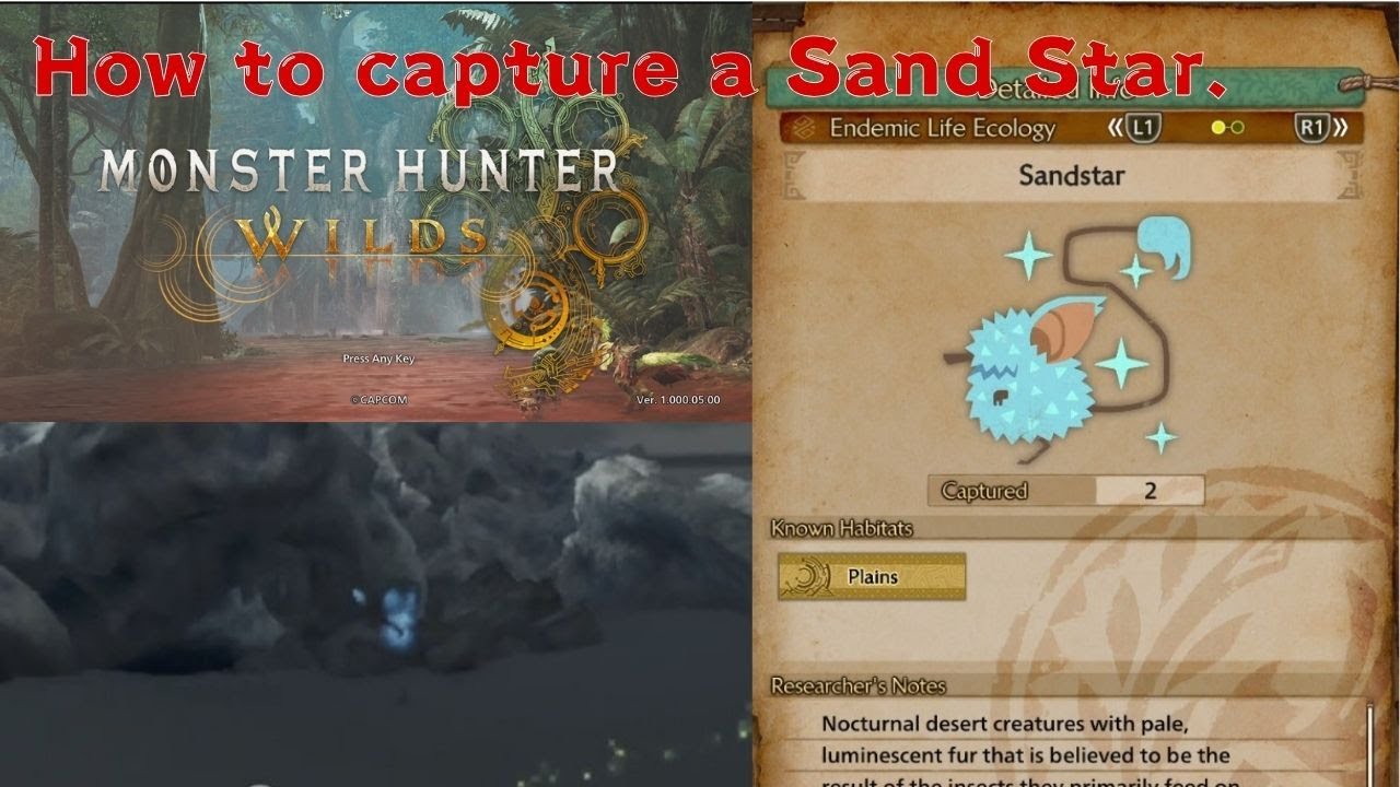 【MHWilds】Monster Hunter Wilds　Capture a Sand Star！　Very easy！