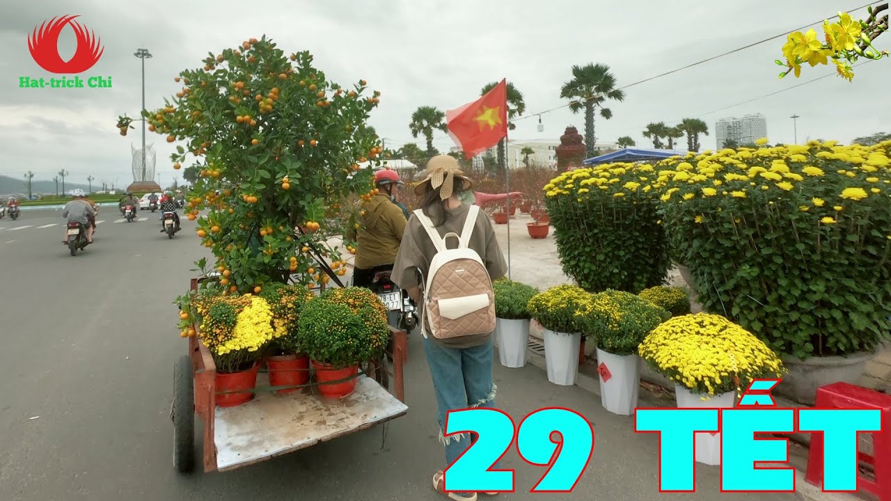 KHÔNG KHÍ CHỢ HOA TẾT TUY HÒA 29 TẾT | XUÂN QUÝ MÃO 2023