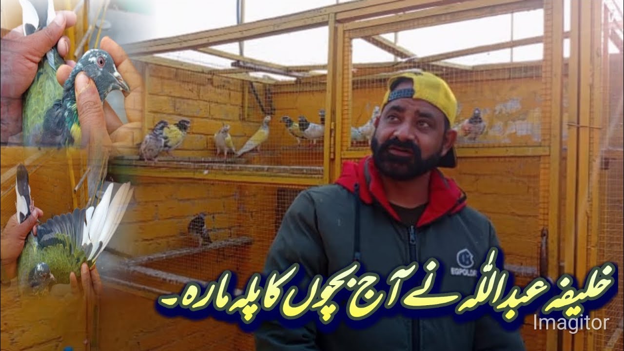 bacchon ka shauk khalifa Abdullah ne aaj bacchon ko palla mara