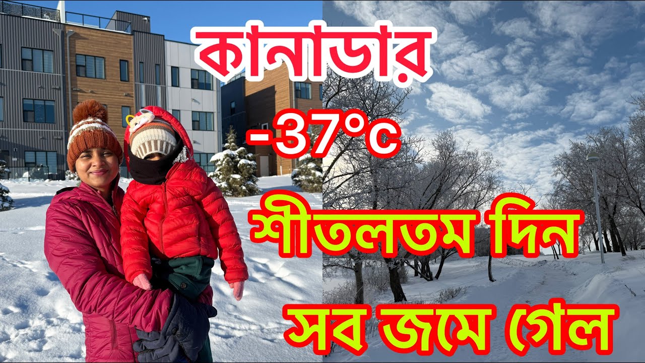 -38&deg;C কানাডায় শীতলতম দিন | Coldest day in this season in Canada 29th Nov 2024 | #banglavlog | Canada