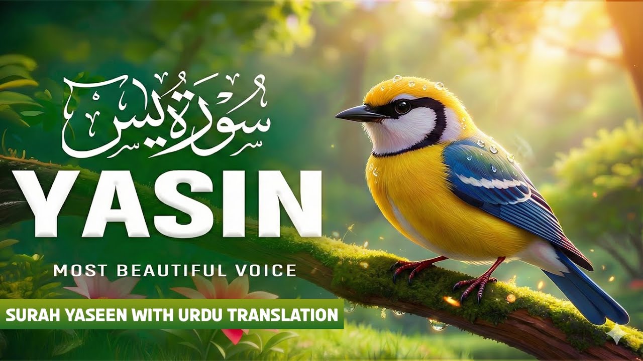 Surah Yasin (سورة يس) | Surah Yaseen with Urdu Translation | Beautiful Quran Tilawat | Hindi Tarjuma