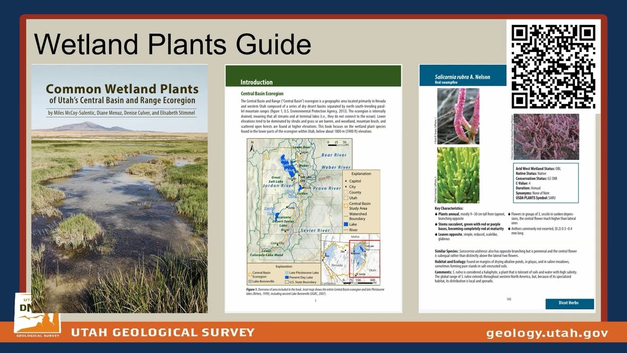 Mud, Bugs, and Plants! Where To Find Data on All the Wetland Things (2025 Watershed Symposium)