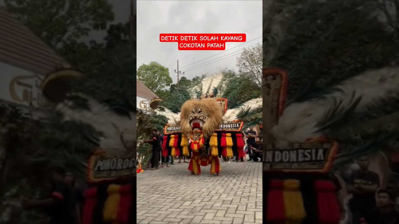 COKOTAN PATAH  SOLAH KAYANG REOG TERBESAR DI BUMI #reogponorogoterbaru #reogponorogo