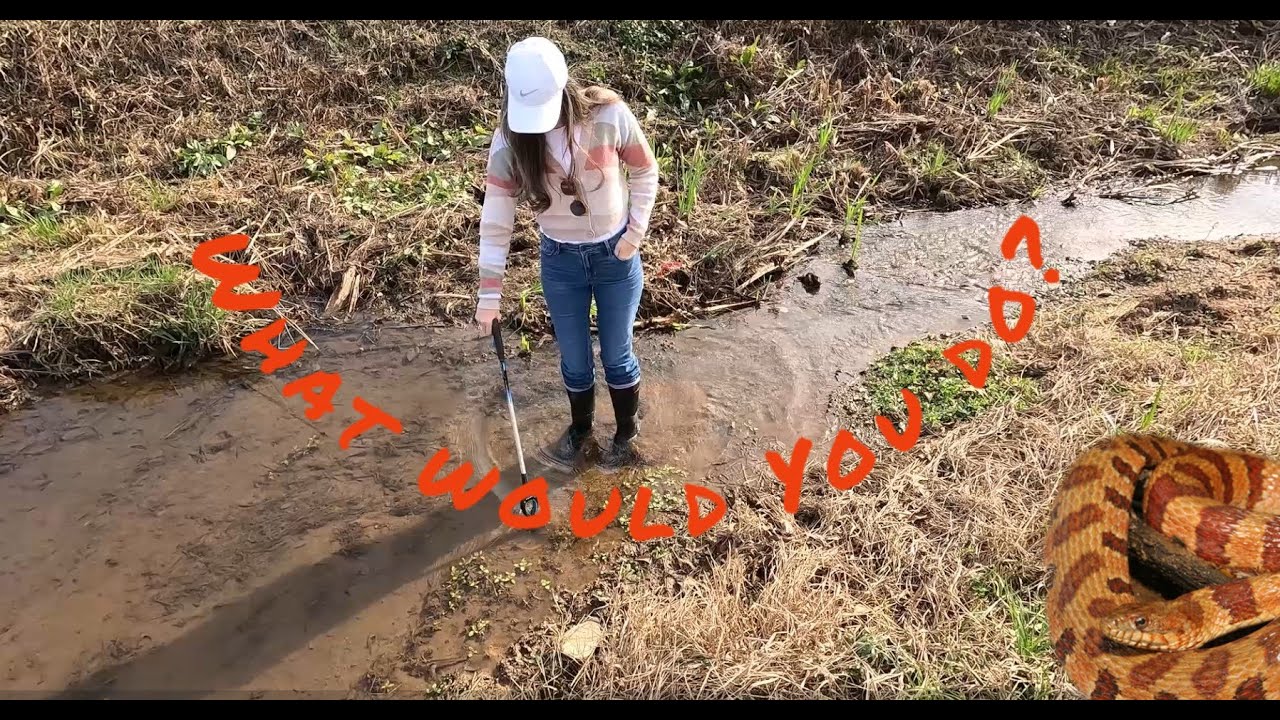 Can a Cold Snake Bite You?  City Creek Treasure Hunt