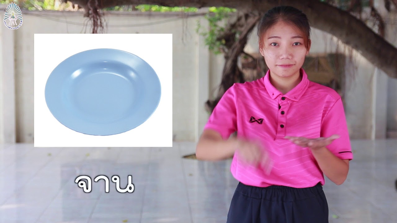 คำศัพท์ภาษามือ 