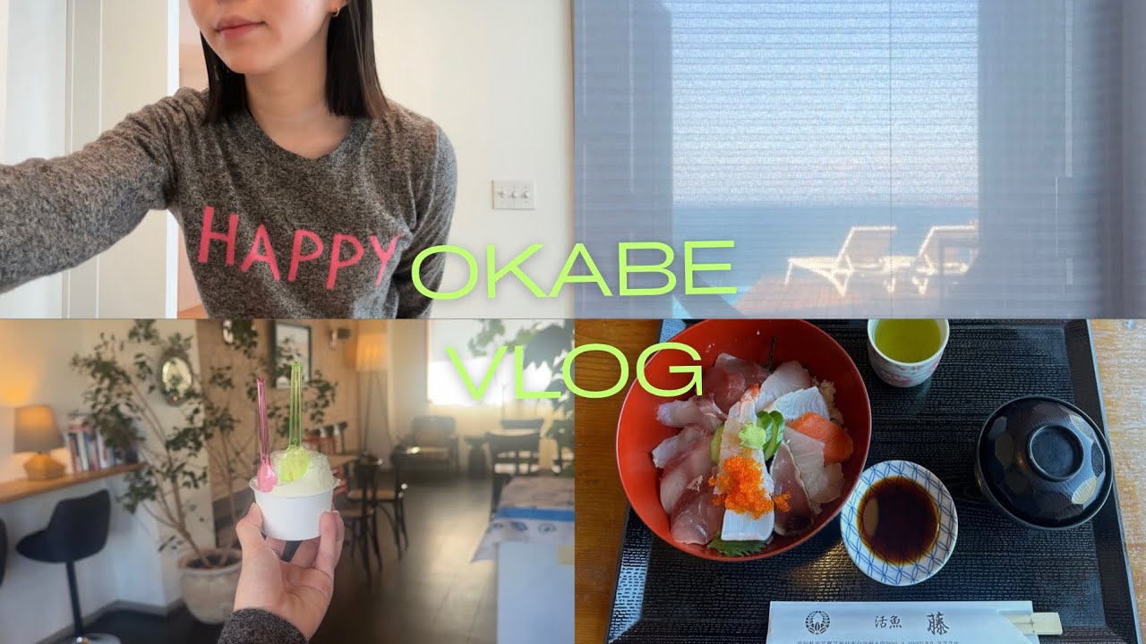 8ヶ月妊婦Vlog | これが理想の休日 | プロジェクターが届いた日📼🔌