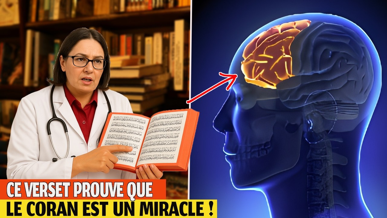 Le Coran a d&eacute;voil&eacute; ce secret du cerveau bien avant la science !