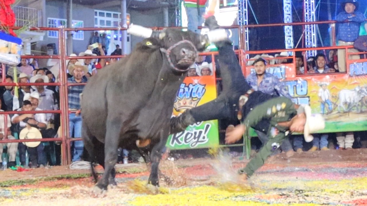 LOS CASTIGADORES DEL TIO MILO Rancho La Guadalupana En Xalpatlahuac Gro 2026