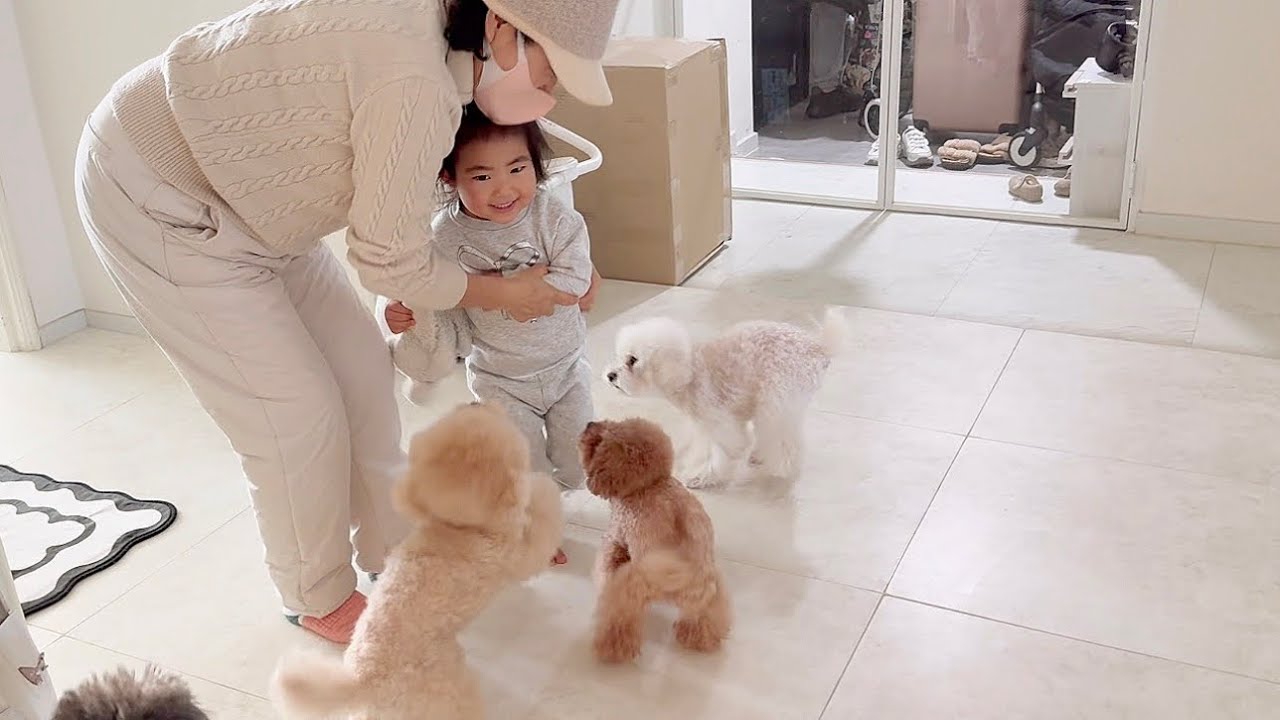 할머니 깜짝 등장에 흥이 폭발해버린 손녀와 개손주들..ㅋㅋㅋㅋ