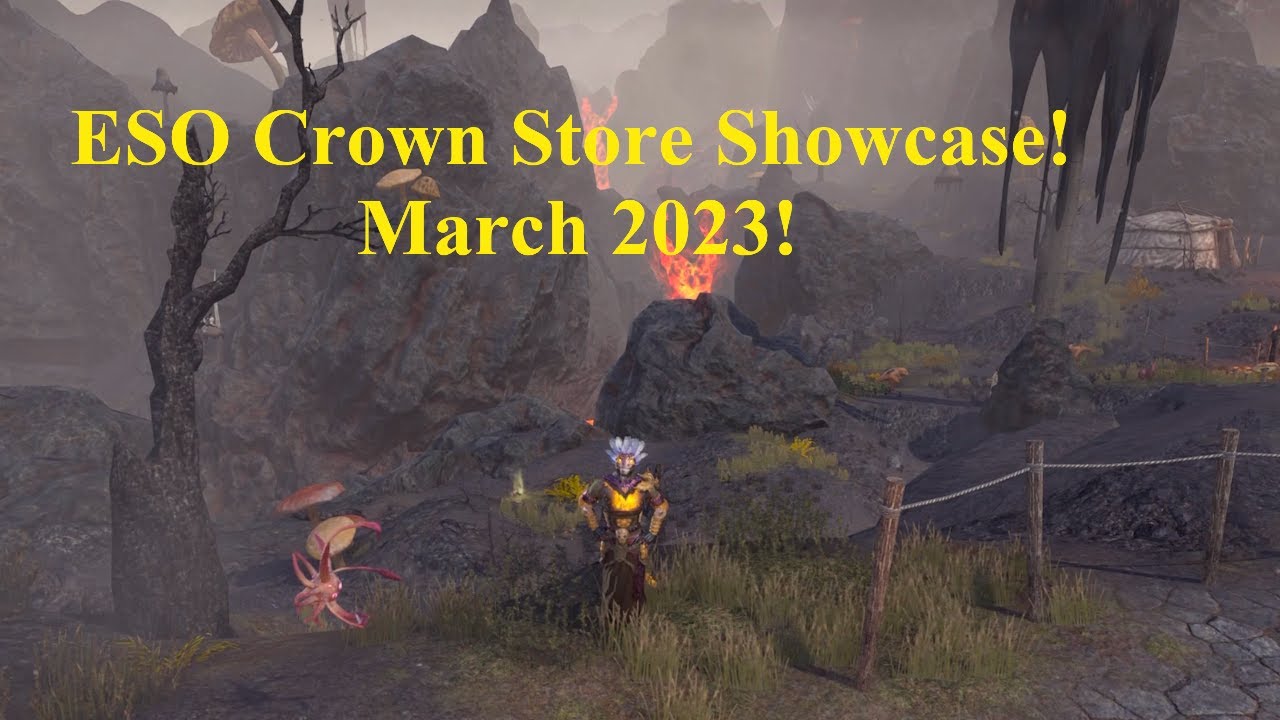 Витрина магазина ESO Crown, март 2023 г.