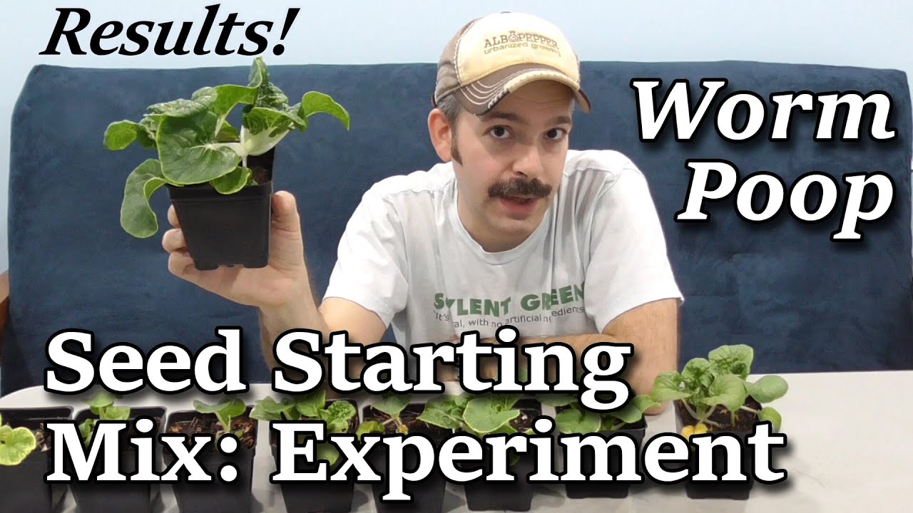 Sustainable Worm Casting Seed Starting Mix -Indoor Garden Experiment CONCLUSION