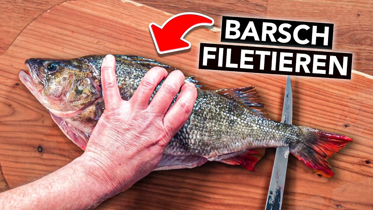 BARSCH FILETIEREN f&uuml;r Anf&auml;nger 🔪 (super einfach & gr&auml;tenfrei)
