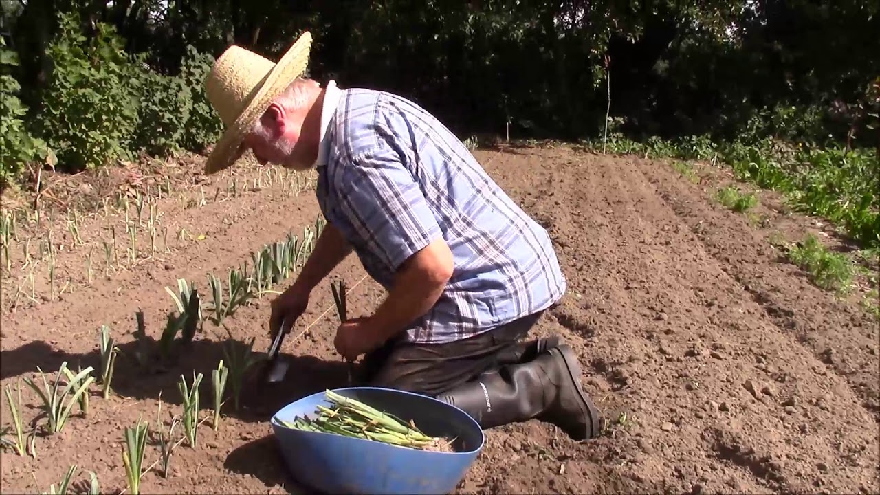 Fraternités Ouvrières - 2017 07 - à Aalbeke, petite visite du jardin