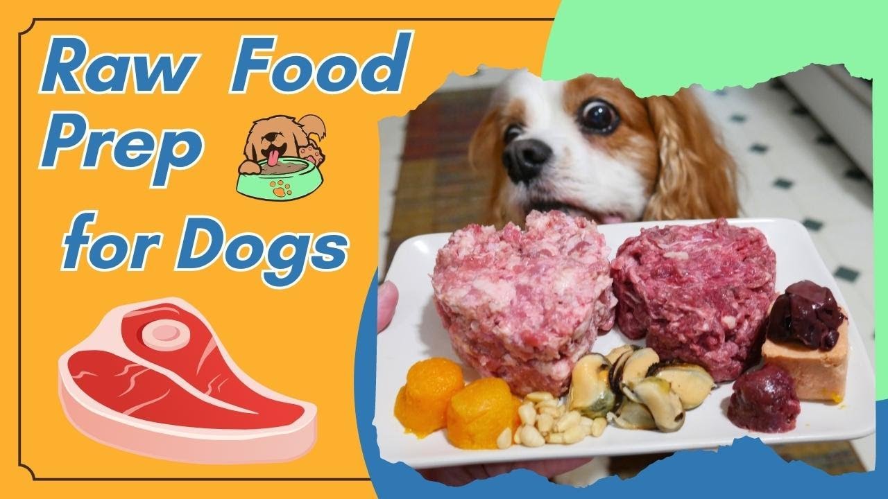 Raw Food Diet for Dogs Meal Prep 🐶| Species Appropriate Diet for Dogs 🐐🐄🐟🐇#RAWFEEDING #RAWDIET