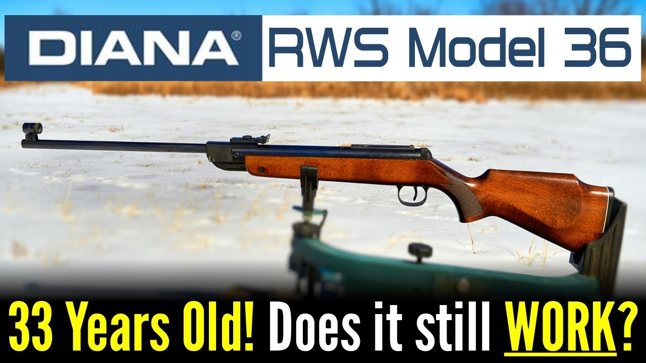 33 Year Old Diana RWS Model 36 Air Rifle.  Does it still WORK?
