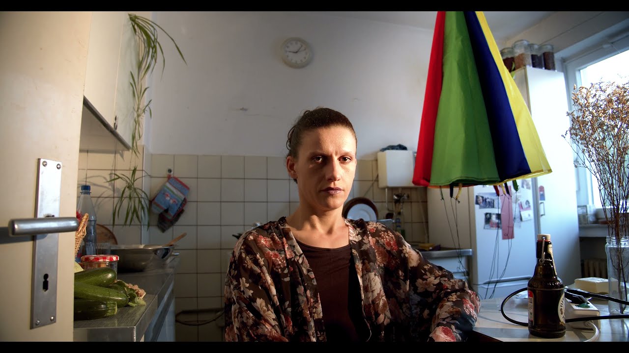 Heute ist der Tag - Kontrollierter Absturz (Offizielles Video)
