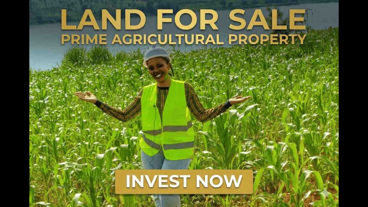 70 Hectares Land for Sale & Renting – NGOMA, Rwanda