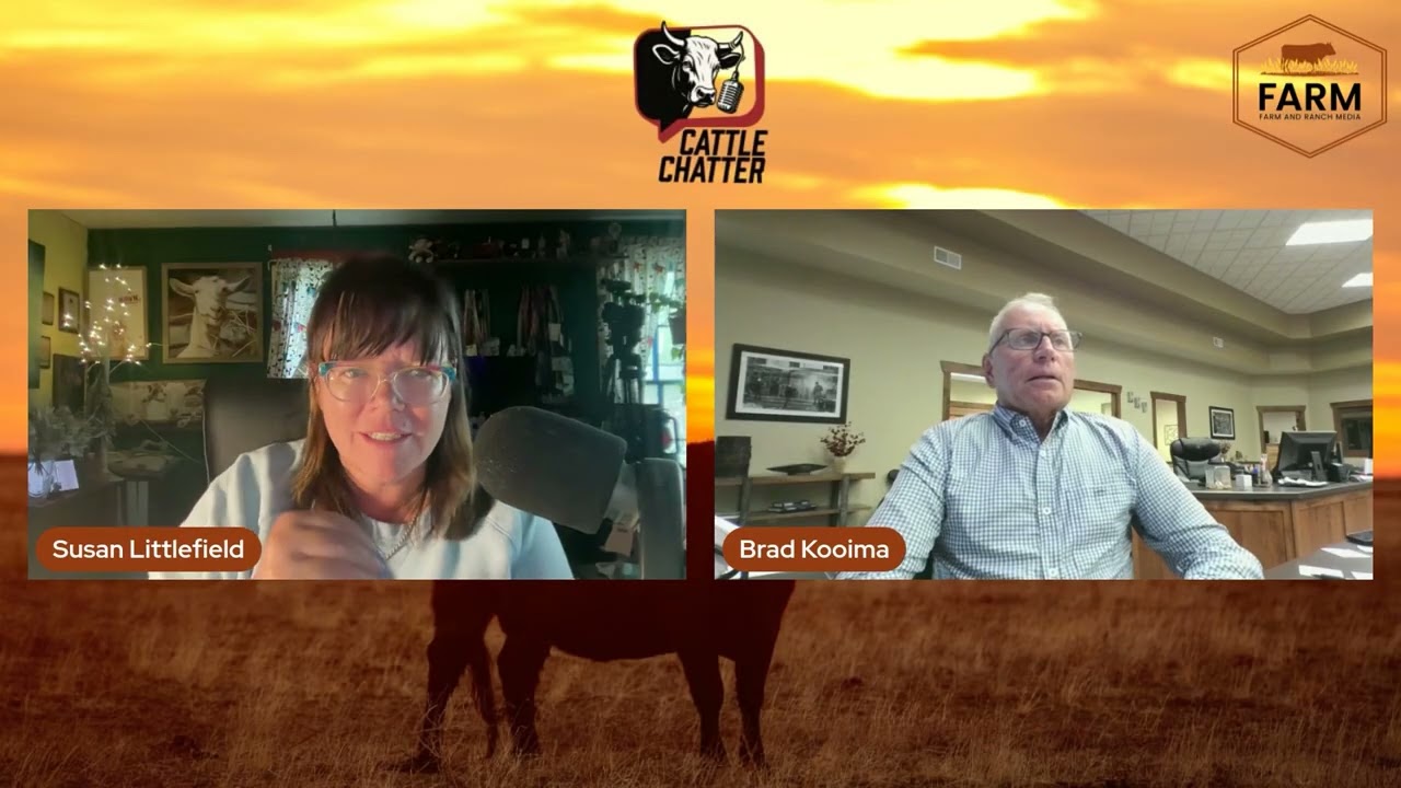 Chart Damage of Last Week | 9/18/25 Cattle Chatter