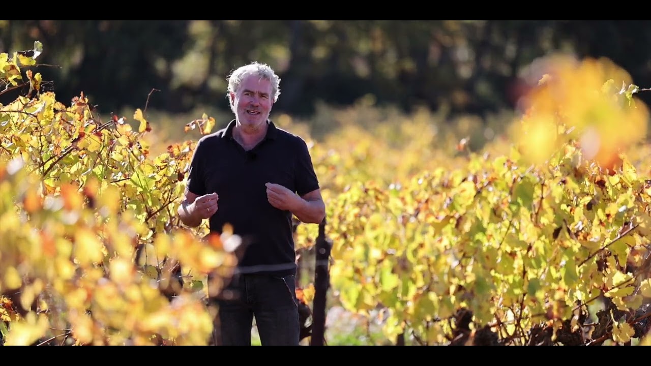 Maison Saint Aix - Winemaker Eric Kurver, AIX Rosé 2023