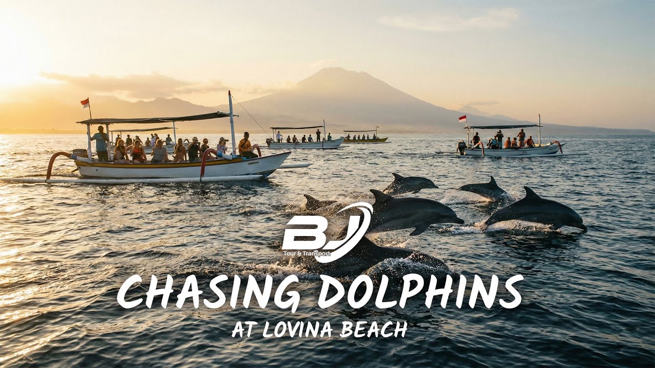 Chasing Dolphins at Lovina Beach 🐬 | Magical Sunrise Tour with Bali Java Tour & Travel