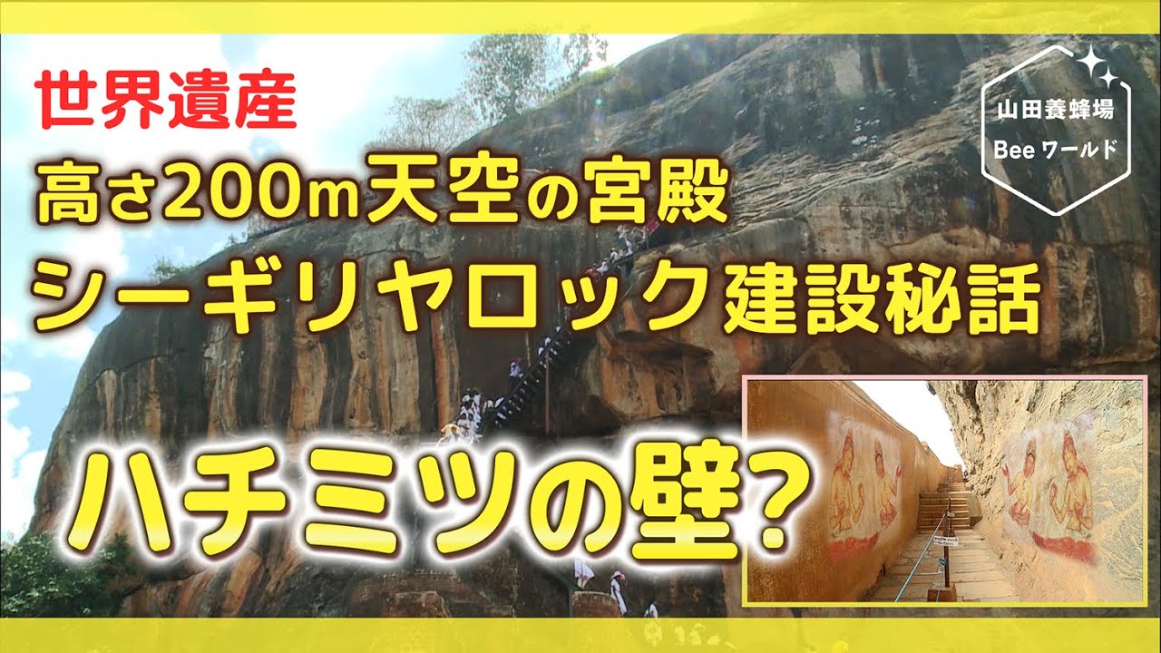 ハチミツで出来た「鏡の壁」？世界遺産シーギリヤロックの建設秘話【山田養蜂場Beeワールド】