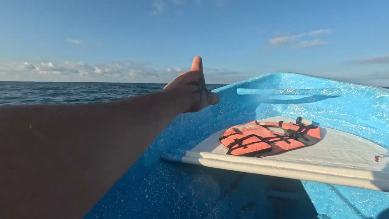 swimming with dolphins in Mazunte, Mexico