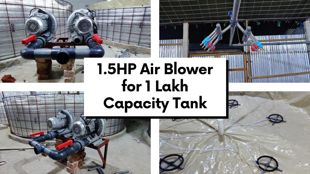 1.5HP Air Blower for 1 Lakh Capacity Biofloc Tank