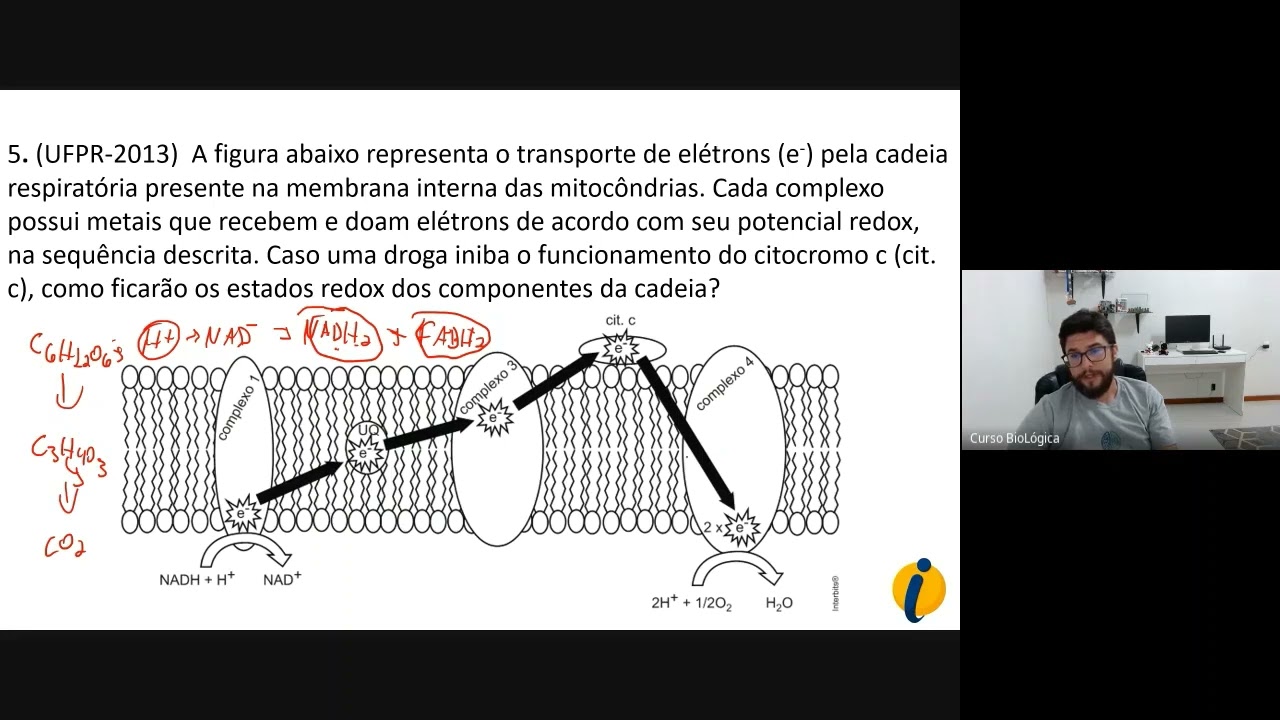 Aulão Integral - UFPR