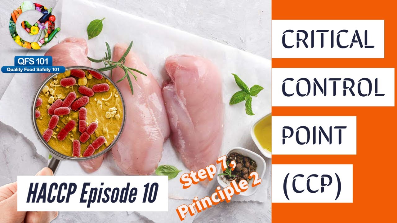 HACCP ep. 10 - CRITICAL CONTROL POINT (HACCP step 7)