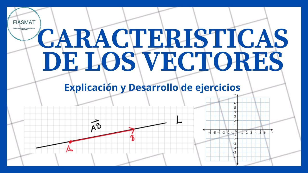 Caracter&iacute;sticas de los Vectores