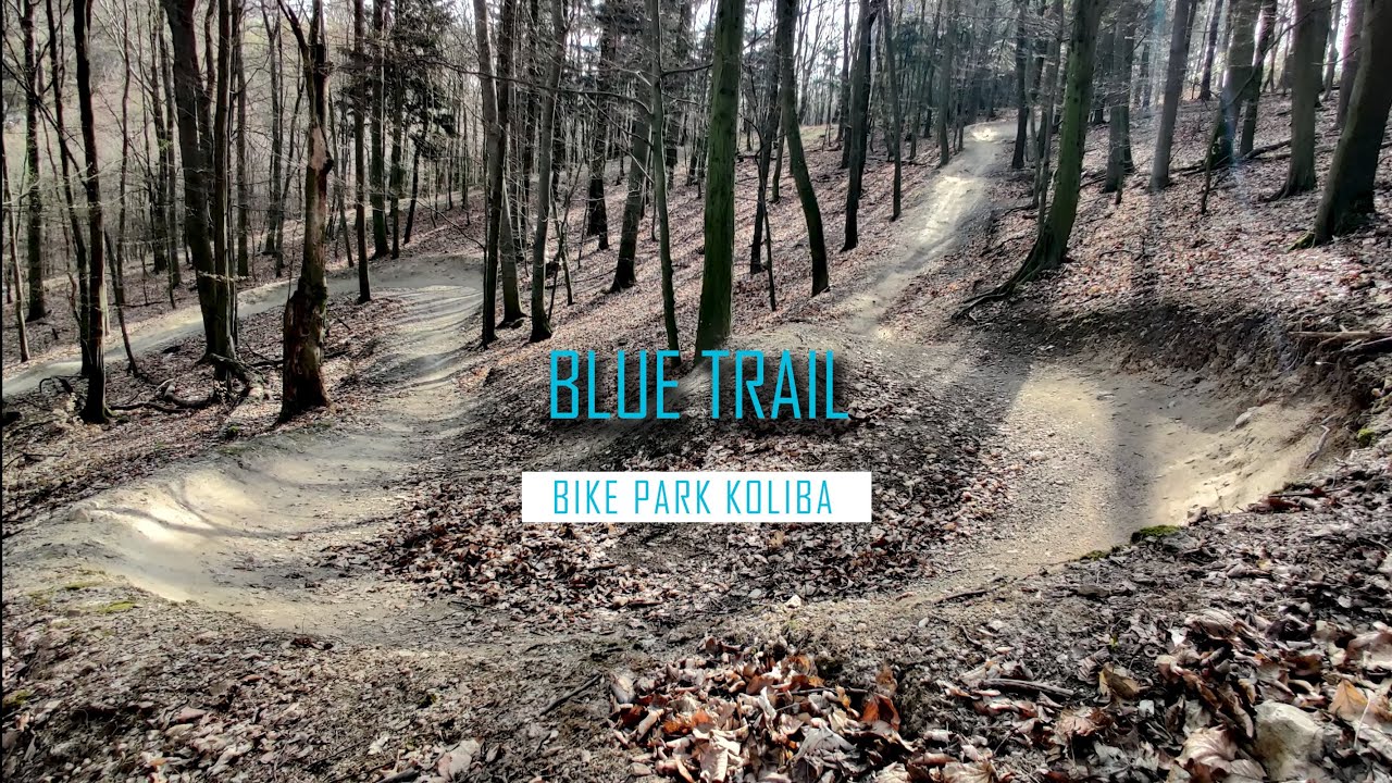MTB Blue Trail / Koliba / Tip na cyklo / Bike park Malé Karpaty / Singletrail / GoPro hero 9 /