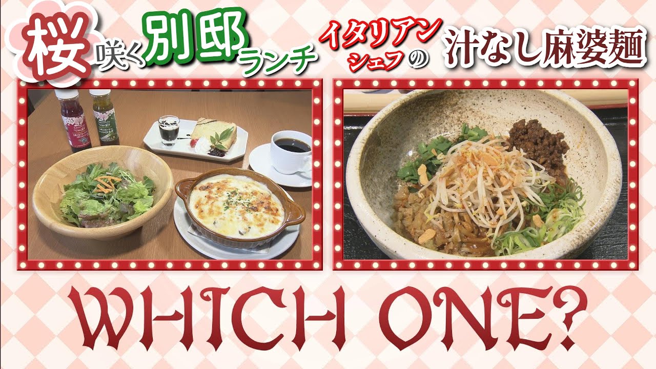 【ランチ情報】イタリアンシェフの麺自慢！汁なし麻婆麺＆桜楽しむ別邸カフェでサラダボウルランチ