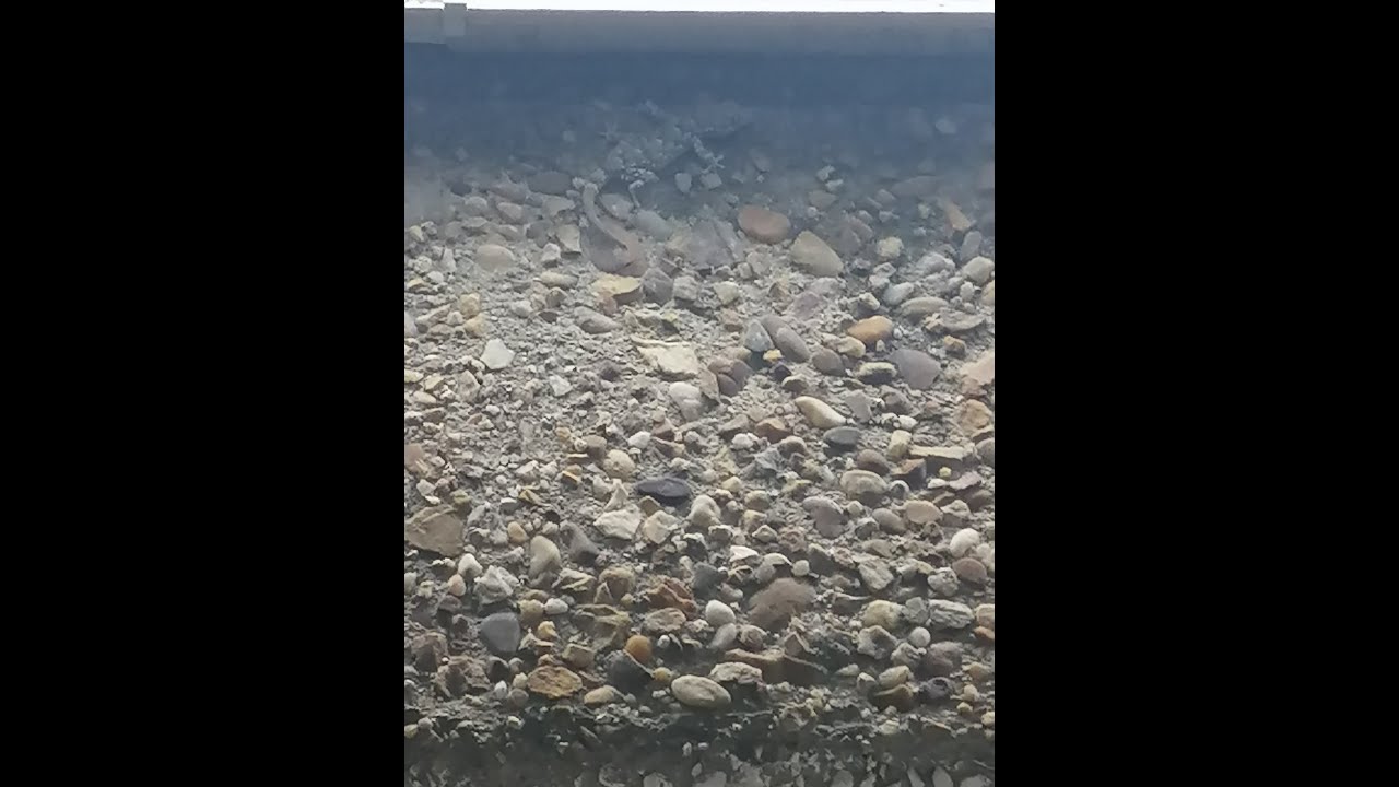 aparejo en linea madre para fondos de rocas y de algas en nuestras playas