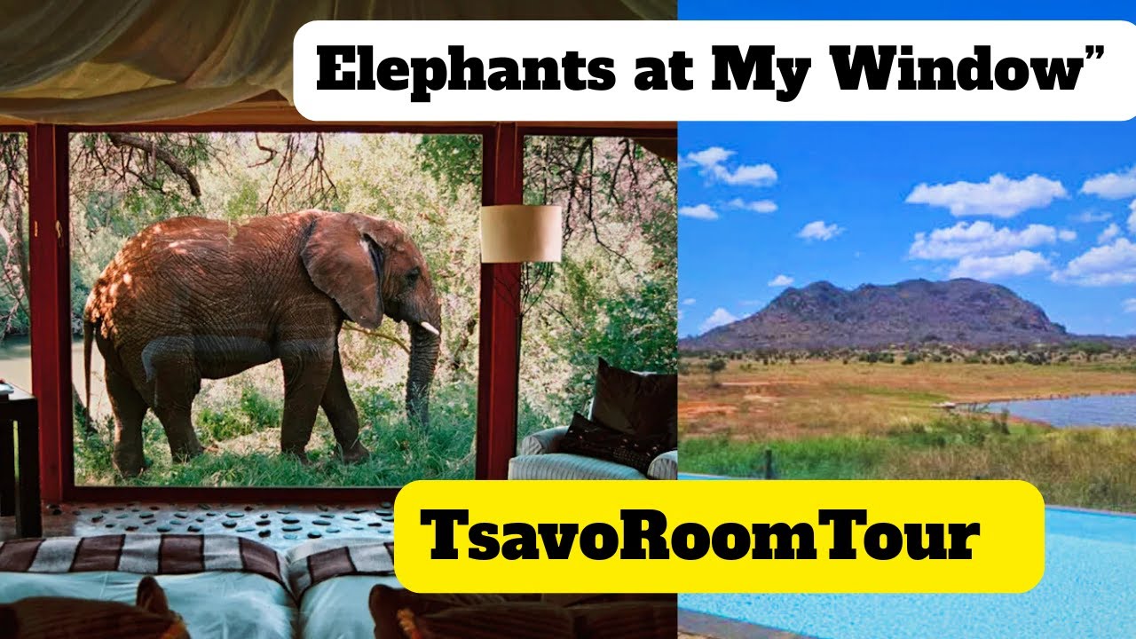 Elephants Outside My Room 🐘 | Voi Wildlife Lodge Tsavo Kenya Room Tour & Review”
