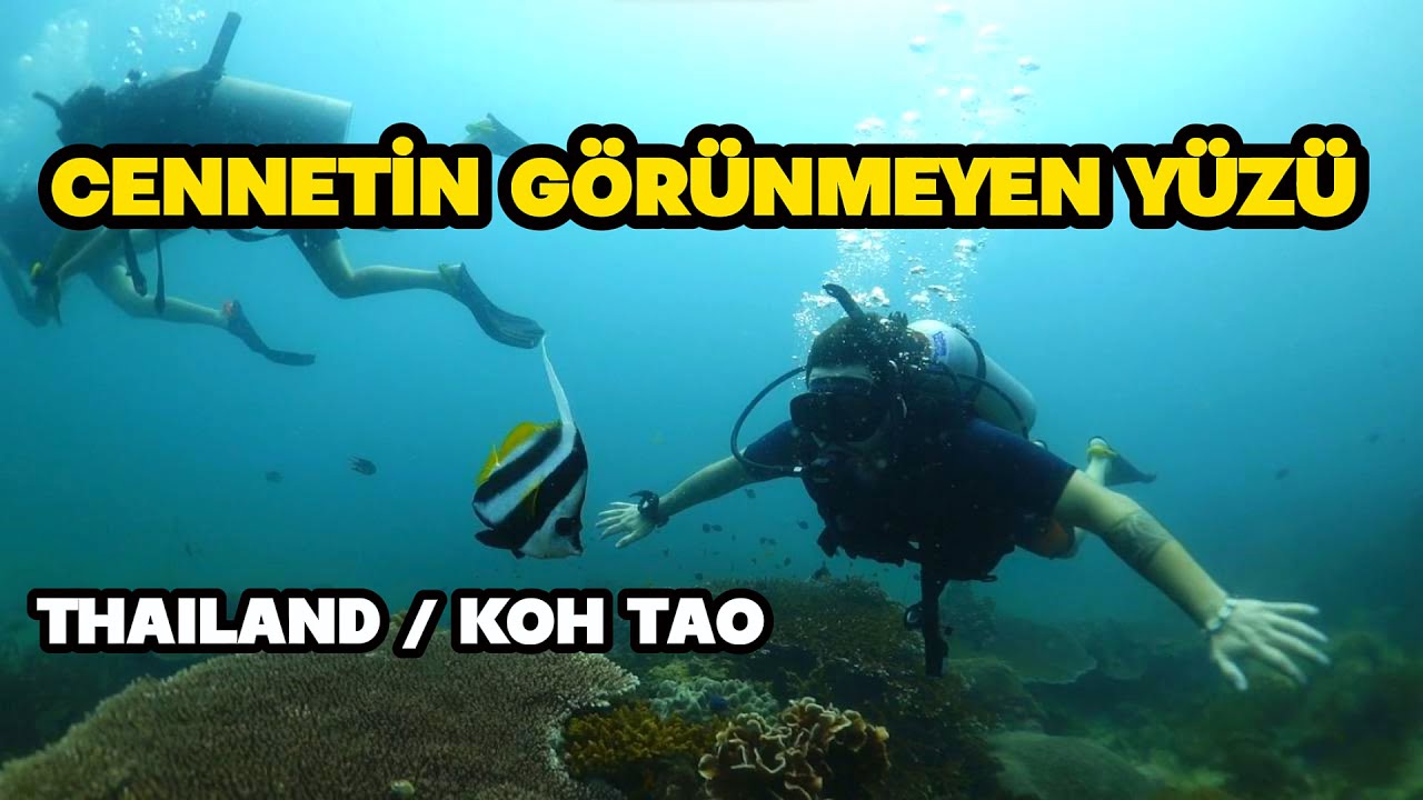 Tayland'da 18 Metreye Daldım !  🇹🇭 📍Koh Tao #reklam