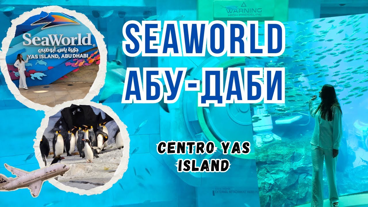 SeaWorld ВПЕЧАТЛИЛ, отель Centro Yas Island Абу-Даби