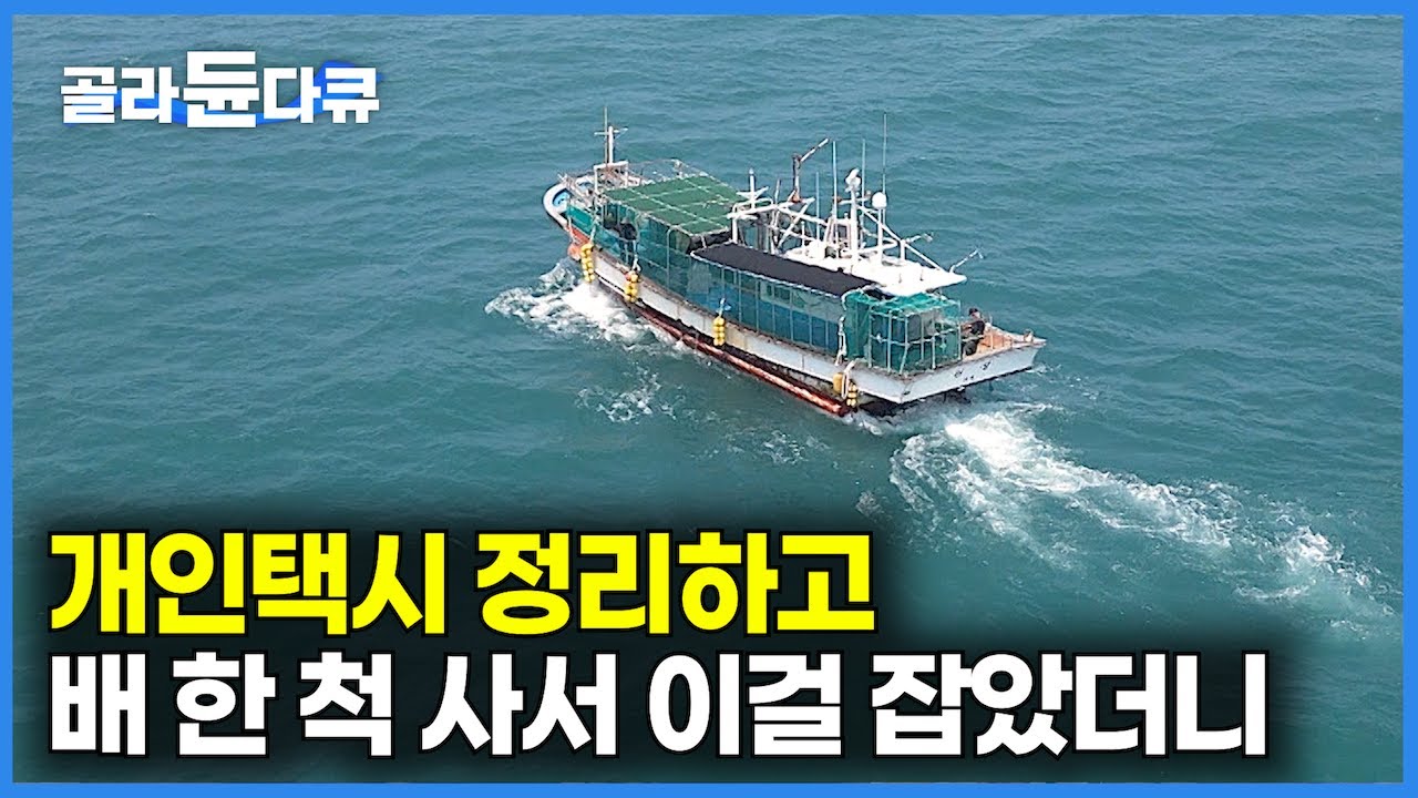 하루에 100kg씩 잡는 걸 보고 반도체 회사 다니던 아들까지 합세!｜잡자마자 일본이 가져다 하루 만에 식탁에 올리는 한국산 물고기｜바다 위 만선 붕장어잡이｜극한직업｜#골라듄다큐