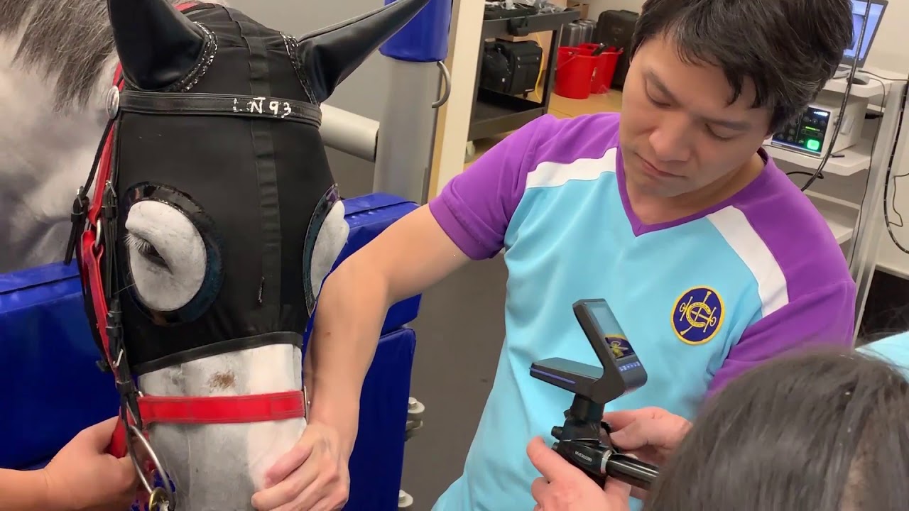 Shinova Veterinary - Portable Equine Endoscope in Hong Kong Jockey Club(MobiScope 9V)